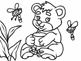 Медвежонок Раскраски с медведями и медвежатами