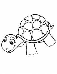 Черепаха Черепахи морские и черепахи степные