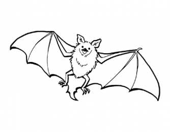 Летучая мышь Летучая мышь которая летает или висит вверх ногами