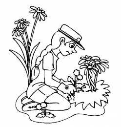 Сажаем деревья Посадка новых деревьев. Раскраски по окружающему миру