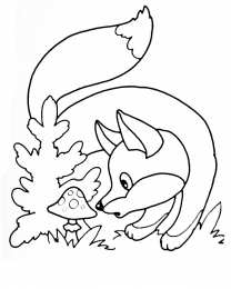 Осень Осенние раскраски. Времена года