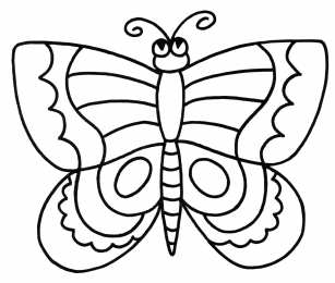 Бабочка красивые бабочки хорошего качества 