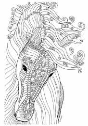 Раскраски для девочек 11 лет Лошадь антистресс