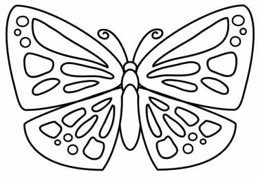 Контуры бабочки Контуры, трафареты, шаблоны бабочек для вырезания аппликаций  и поделок