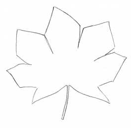Контуры листьев Шаблоны и трафареты листьев для поделок на осеннюю тему