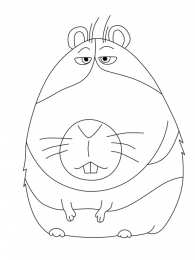 Для девочек Раскраски с животными для девочек