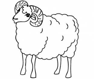 Барашек Баран. Раскраски с барашками