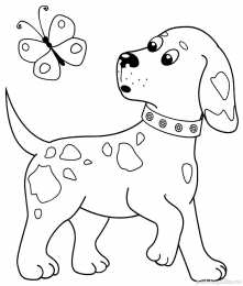 Собака Собака друг человека. Домашние животные