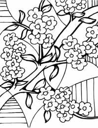 Весна Раскраски с изображением цветущего дерева.