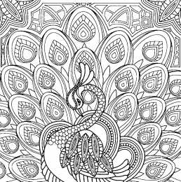 Раскраски для девочек 10 лет сложные раскраски 