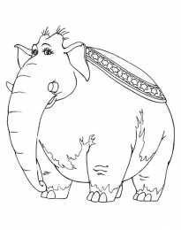 Слон Индийские и африканские слоны это животные с длинным хоботом