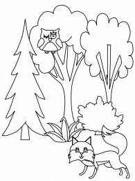 Природа Раскраски с изображением леса