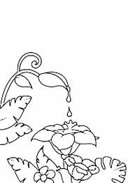 Явления природы Раскраски с росой на листьях и фруктах