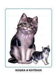  Обучающие карточки мамы и детки