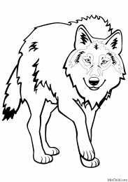 Животные по категориям Раскраски с серым волком