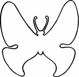  Контуры бабочек